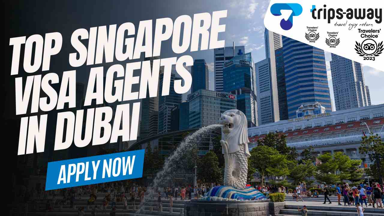 top singapore visa agents in dubai image